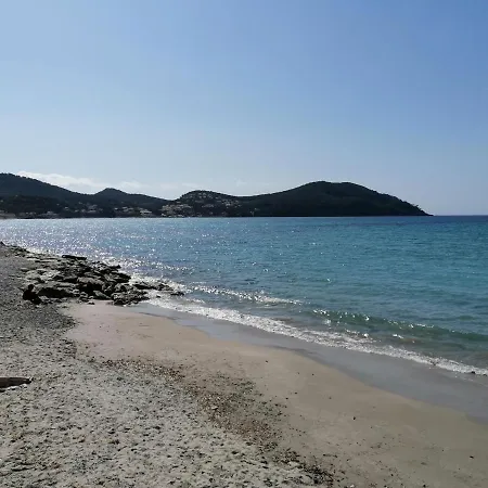 3 Min A Pieds & 200 M De La Grande Plage Des Lecques - Terrasse Et Jardin - Fabuleux T2 - Carre D'Or *