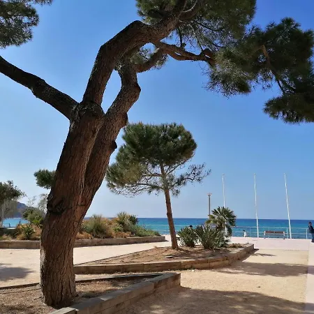 Fabuleux T2 Les Lecques - Carre D'or - Terrasse & Jardin - 250m 滨海圣西尔