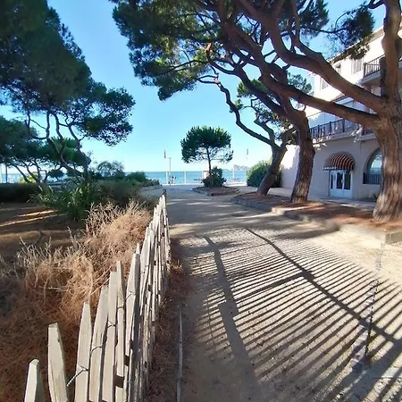 Fabuleux T2 Les Lecques - Carre D'or - Terrasse & Jardin - 250m 滨海圣西尔